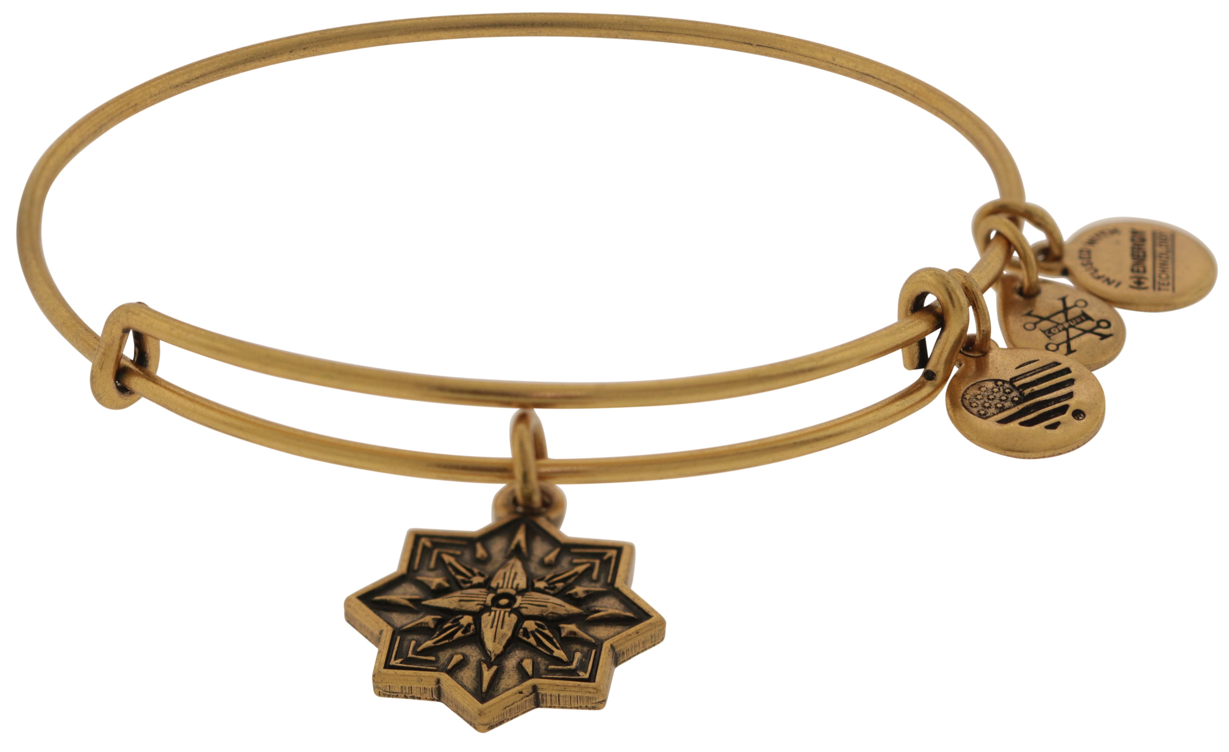 Alex and Ani Healing Love Charm Bangle Bracelet Rafaelian Gold Finish