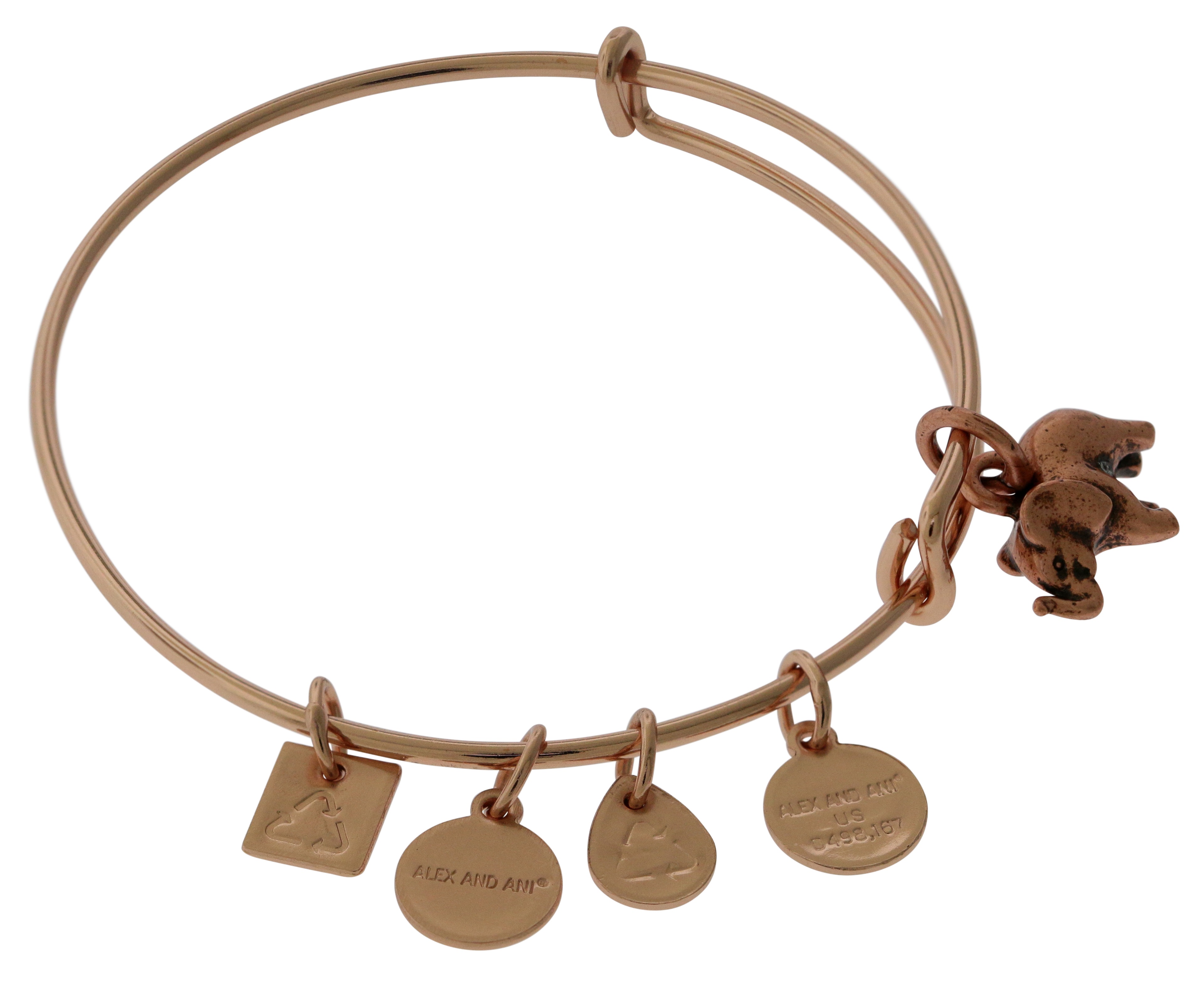 Alex And Ani Charity By Design Elephant II ROG (Charm) SR (EWB) eBay